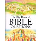 The Big Book Of Bible Questions by Sally Ann Wright & Paola Bertolini Grudina